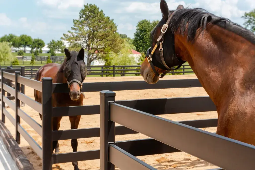 The Ultimate Guide to Horse Fencing: Durability, Costs, and Maintenance Over a Decade